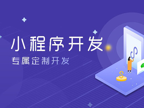 小程序開(kāi)發(fā),上海專(zhuān)業(yè)小程序開(kāi)發(fā)公司