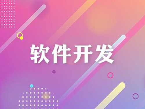 軟件開(kāi)發(fā),上海軟件定制
